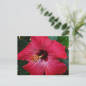 Red Hibiscus Briefkaart (Staand voorkant)