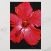Red Hibiscus Briefpapier (Voorkant)