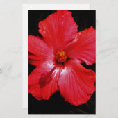 Red Hibiscus Briefpapier (Voorkant / Achterkant)
