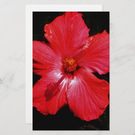 Red Hibiscus Briefpapier (Voorkant / Achterkant)