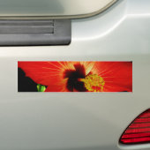 Red Hibiscus Bumpersticker (Op auto)