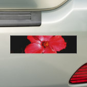 Red Hibiscus Bumpersticker (Op auto)