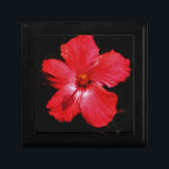 Red Hibiscus Cadeaudoosje<br><div class="desc">Red Hibiscus Flower Hibiscus is een bloeiend plant in de ondiepe familie, Malvaceae. Het is vrij groot, met honderden soorten die in de hele wereld inheems zijn voor warm gematigde, subtropische en tropische gebieden. Verzend een bericht naar sandycloss@gmail.com of sandycloss.smugmug.com als u om het even welk van deze design op...</div>