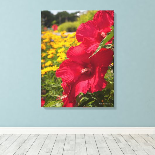Red Hibiscus Canvas Afdruk (Insitu (Houten vloer))