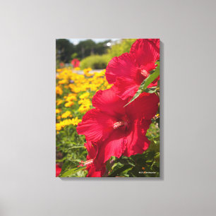 Red Hibiscus Canvas Afdruk