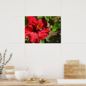 Red Hibiscus Canvas Afdrukken Poster (Keuken)