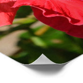 Red Hibiscus Canvas Afdrukken Poster (Hoek)