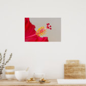 Red Hibiscus Closeup of Pistil and Stamen Poster (Keuken)