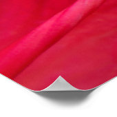 Red Hibiscus Closeup of Pistil and Stamen Poster (Hoek)