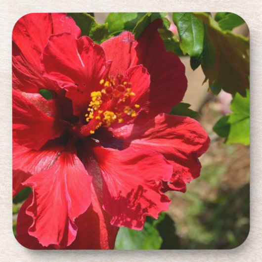 Red Hibiscus Cork Onderzetter (Voorkant)