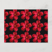 Red Hibiscus Flower Briefkaart (Voorkant)