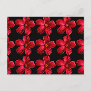 Red Hibiscus Flower Briefkaart