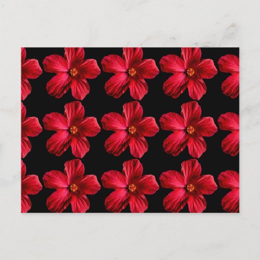 Red Hibiscus Flower Briefkaart (Voorkant)