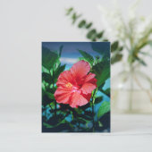 Red Hibiscus Flower Briefkaart (Staand voorkant)