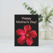 Red Hibiscus Flower Briefkaart (Staand voorkant)