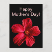 Red Hibiscus Flower Briefkaart (Voorkant)