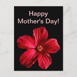 Red Hibiscus Flower Briefkaart