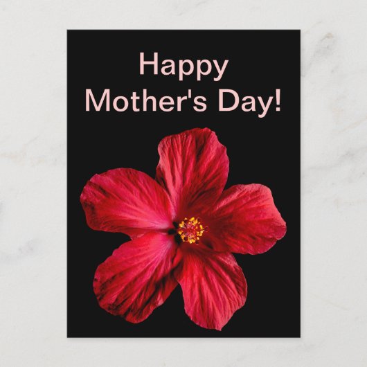 Red Hibiscus Flower Briefkaart (Voorkant)