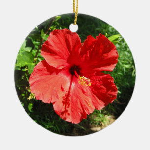 Red Hibiscus Flower foto van Hawaii Keramisch Ornament
