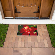 Red Hibiscus Flower in Sunlight