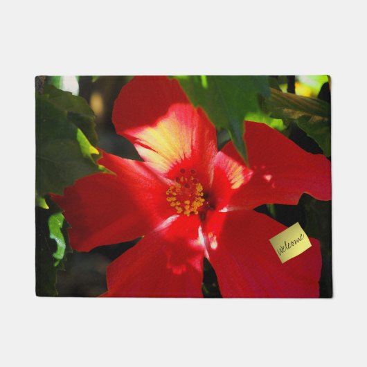 Red Hibiscus Flower in Sunlight Deurmat (Voorkant)
