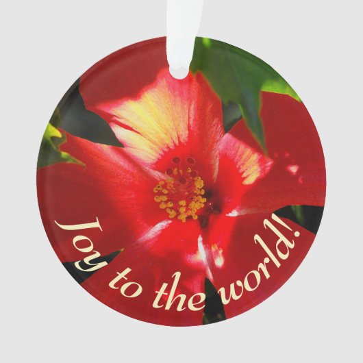 Red Hibiscus Flower in Sunlight Ornament (voorkant)