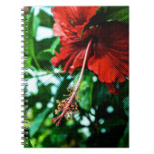 Red Hibiscus Flower Notitieboek (Voorkant)