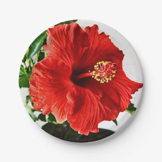 Red Hibiscus Flower Papieren Bordje (Voorkant)