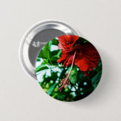 Red Hibiscus Flower Ronde Button 5,7 Cm (Voorkant /achterkant)