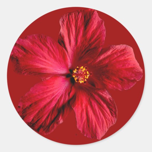 Red Hibiscus Flower Ronde Sticker (Voorkant)