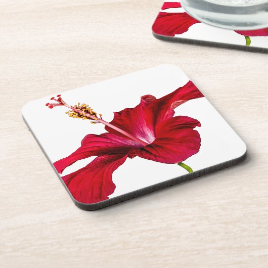 Red Hibiscus Flower Side Uitzicht Bier Onderzetter (Linkerzijde)
