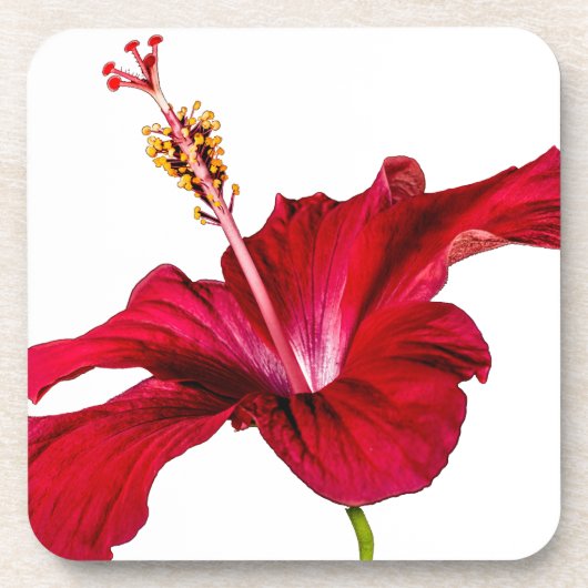 Red Hibiscus Flower Side Uitzicht Bier Onderzetter (Voorkant)