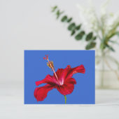 Red Hibiscus Flower Side Uitzicht Briefkaart (Staand voorkant)