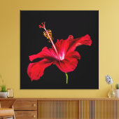 Red Hibiscus Flower Side Uitzicht Canvas Afdruk (Insitu (Woonkamer))