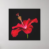 Red Hibiscus Flower Side Uitzicht Canvas Afdruk (Voorkant)