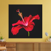 Red Hibiscus Flower Side Uitzicht Canvas Afdruk (Insitu (Woonkamer))