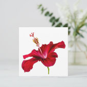 Red Hibiscus Flower Side Uitzicht Kaart (Staand voorkant)