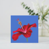 Red Hibiscus Flower Side Uitzicht Kaart (Staand voorkant)