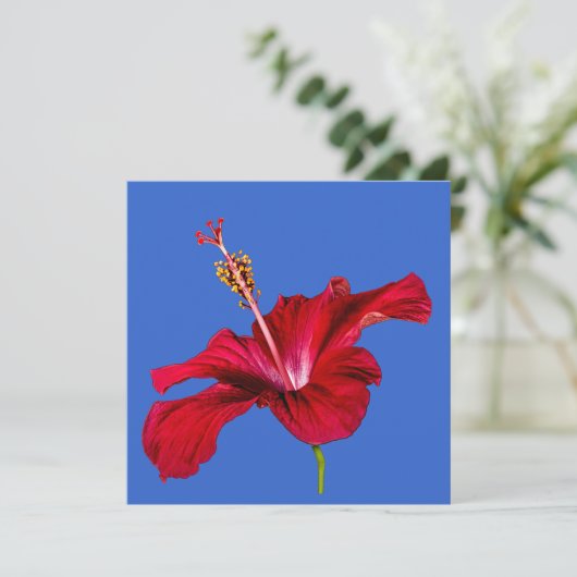 Red Hibiscus Flower Side Uitzicht Kaart (Staand voorkant)