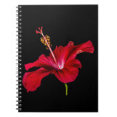 Red Hibiscus Flower Side Uitzicht Notitieboek (Voorkant)