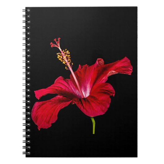 Red Hibiscus Flower Side Uitzicht Notitieboek (Voorkant)
