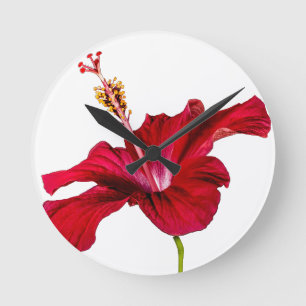 Red Hibiscus Flower Side Uitzicht Ronde Klok