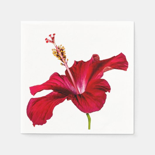Red Hibiscus Flower Side Uitzicht Servetten (Voorkant)