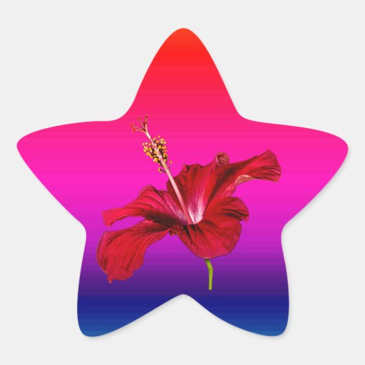 Red Hibiscus Flower Side Uitzicht Ster Sticker (Voorkant)