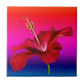 Red Hibiscus Flower Side Uitzicht Tegeltje (Voorkant)
