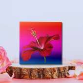 Red Hibiscus Flower Side Uitzicht Tegeltje