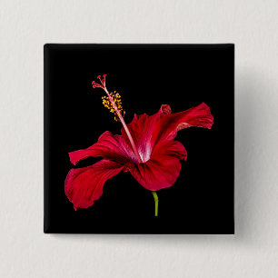 Red Hibiscus Flower Side Uitzicht Vierkante Button 5,1 Cm