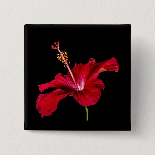 Red Hibiscus Flower Side Uitzicht Vierkante Button 5,1 Cm (Voorkant)