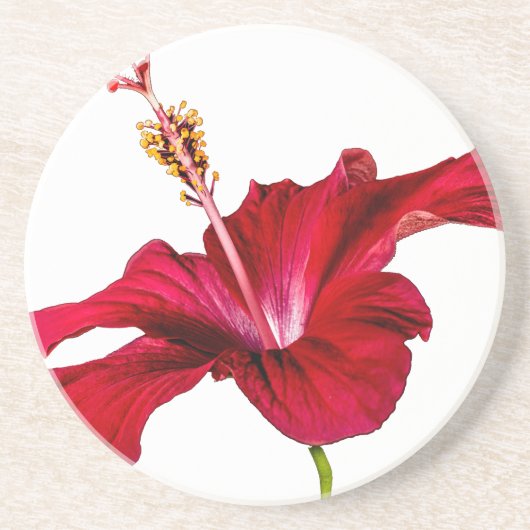 Red Hibiscus Flower Side Uitzicht Zandsteen Onderzetter (Voorkant)