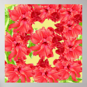 Red Hibiscus Flowers Poster Print